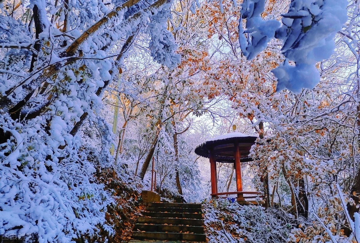 1615445603688115.jpeg 义乌0 (1).jpg