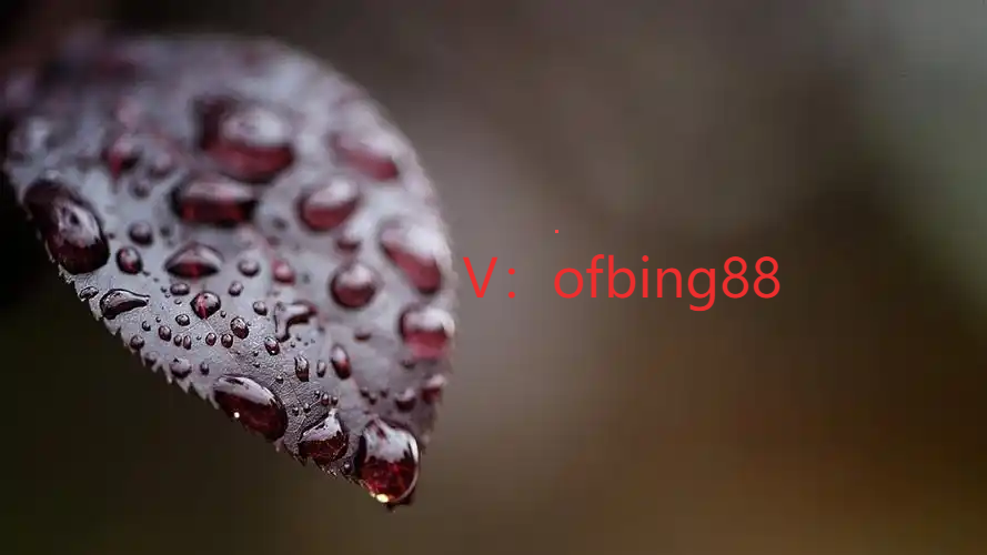 u=4217859230,4166414930&fm=253&fmt=auto&app=138&f=JPEG.png